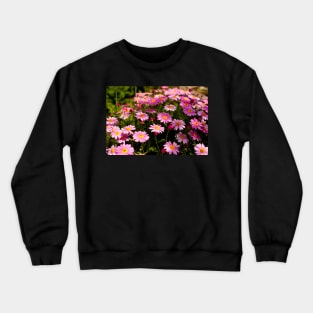 Pink Daisy Crewneck Sweatshirt